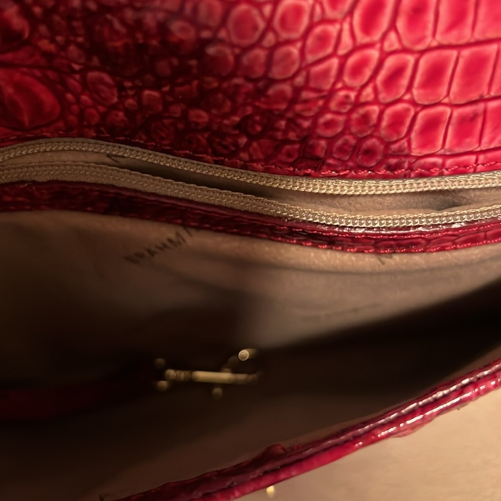 Brahmin - Picture 6 of 6